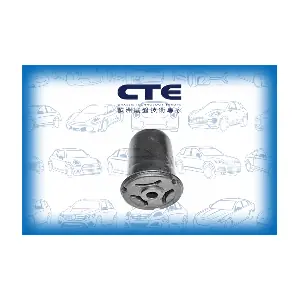 CBH19007 CTE