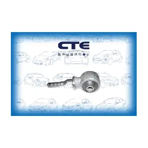CBH01031 CTE
