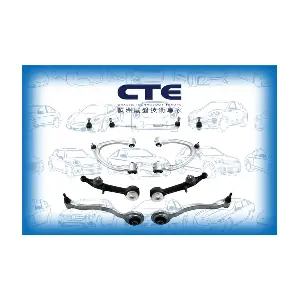 COS21005 CTE