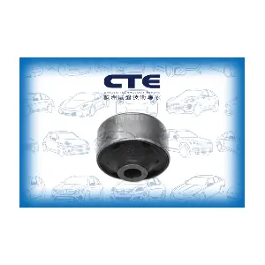 CTE CBH02041