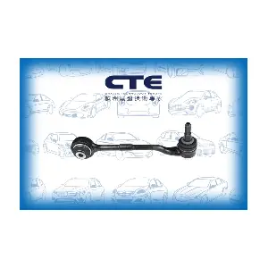 CS-954 CTE