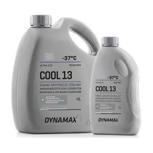 DYNAMAX 502579