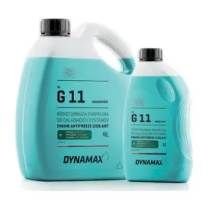 500034 DYNAMAX