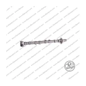 CMS003FAIN DIPASPORT