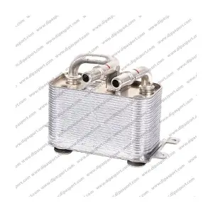 105762 DIPASPORT