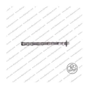 CMS015FAIN DIPASPORT