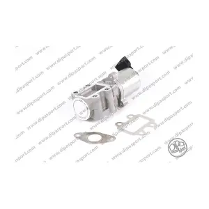 256200R010 DIPASPORT