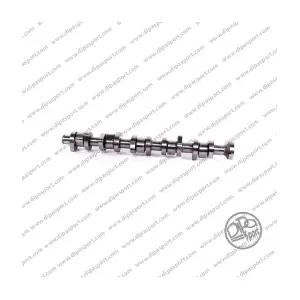 CMS016FAIN DIPASPORT
