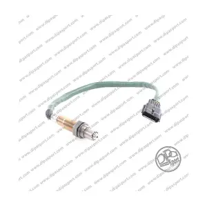 INJLS219BSCN DIPASPORT