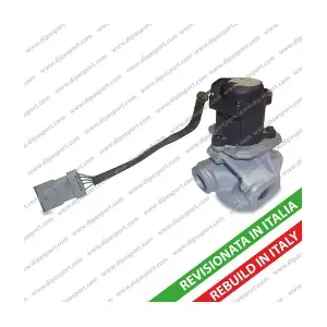 EGR031R DIPASPORT