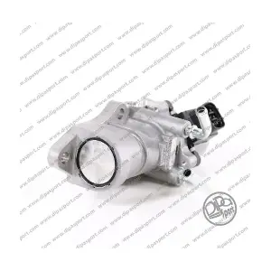 EGR102N DIPASPORT