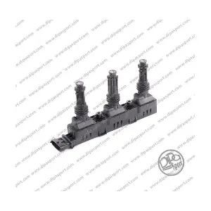 CL213 DIPASPORT