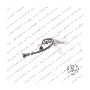 INJU002DPSN DIPASPORT