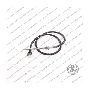 INJGS039DPSN DIPASPORT