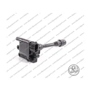 CP358 DIPASPORT