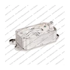 RAO110N DIPASPORT