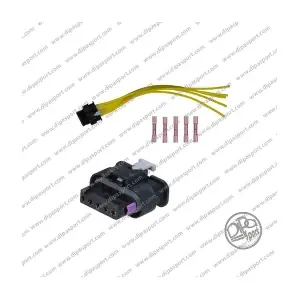 PLUG1147 DIPASPORT