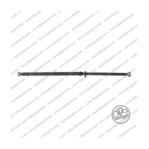 DTS043DPSN DIPASPORT