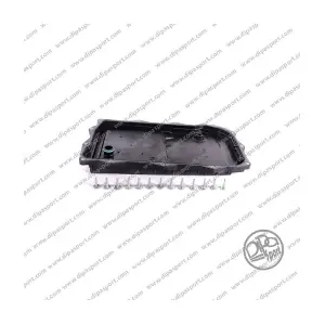 COG016FAIN DIPASPORT