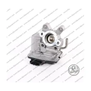 EGR161R DIPASPORT