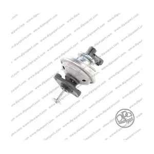 DIPASPORT EGR187N