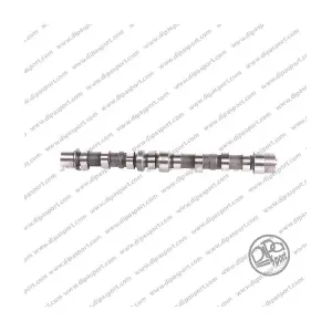 CMS006FAIN DIPASPORT