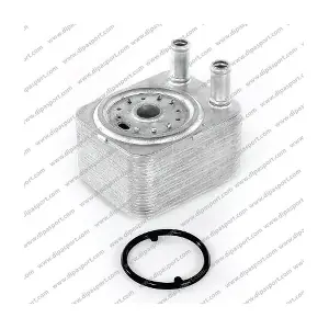 DIPASPORT RAO011BHRN