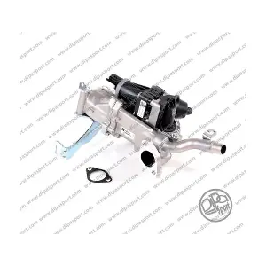 DIPASPORT EGR213N