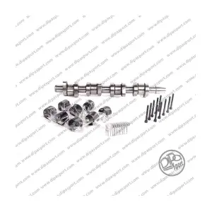 CMS018FAIN DIPASPORT