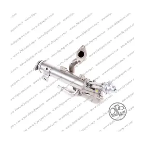 EGR209R DIPASPORT