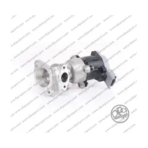 DIPASPORT EGR029N