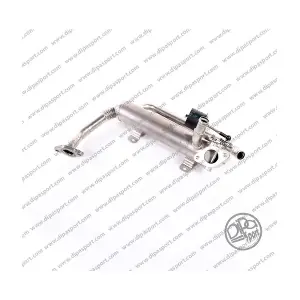 EGR210R DIPASPORT
