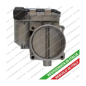 FLAI313R DIPASPORT