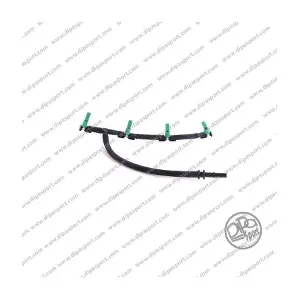 HSEFUE009DPSN DIPASPORT