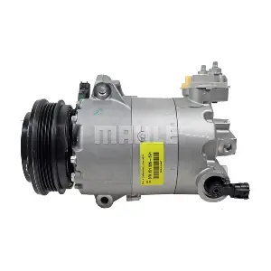 090.595.081.310 AES PSH