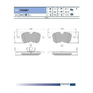 FO 243681 FOMAR Friction