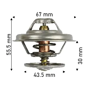 DT218C DAYCO-AU