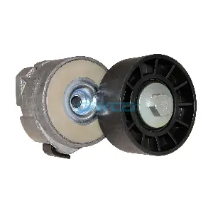 APV1075 DAYCO-AU