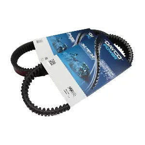 XTX2217 DAYCO-AU