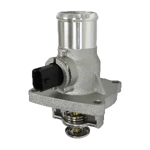 55597008 GM