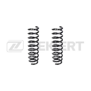 SF-2494 ZEKKERT
