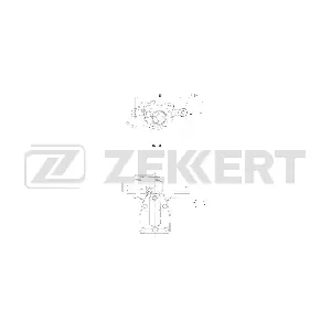 BS-8300 ZEKKERT