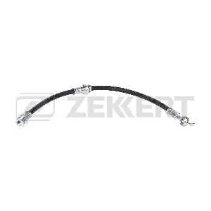 BS-9519 ZEKKERT