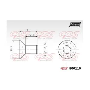 800110 MAXTECH