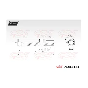 71810181 MAXTECH