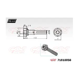 299102 BUDWEG CALIPER