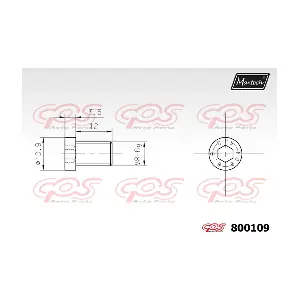 800109 MAXTECH