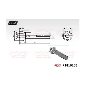 71810133 MAXTECH