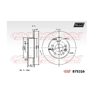 875316 MAXTECH