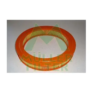 PA254 MULLER FILTER